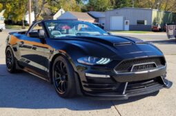 
										2020 Ford Mustang GT Carroll Shelby Signature Series Convertible full									